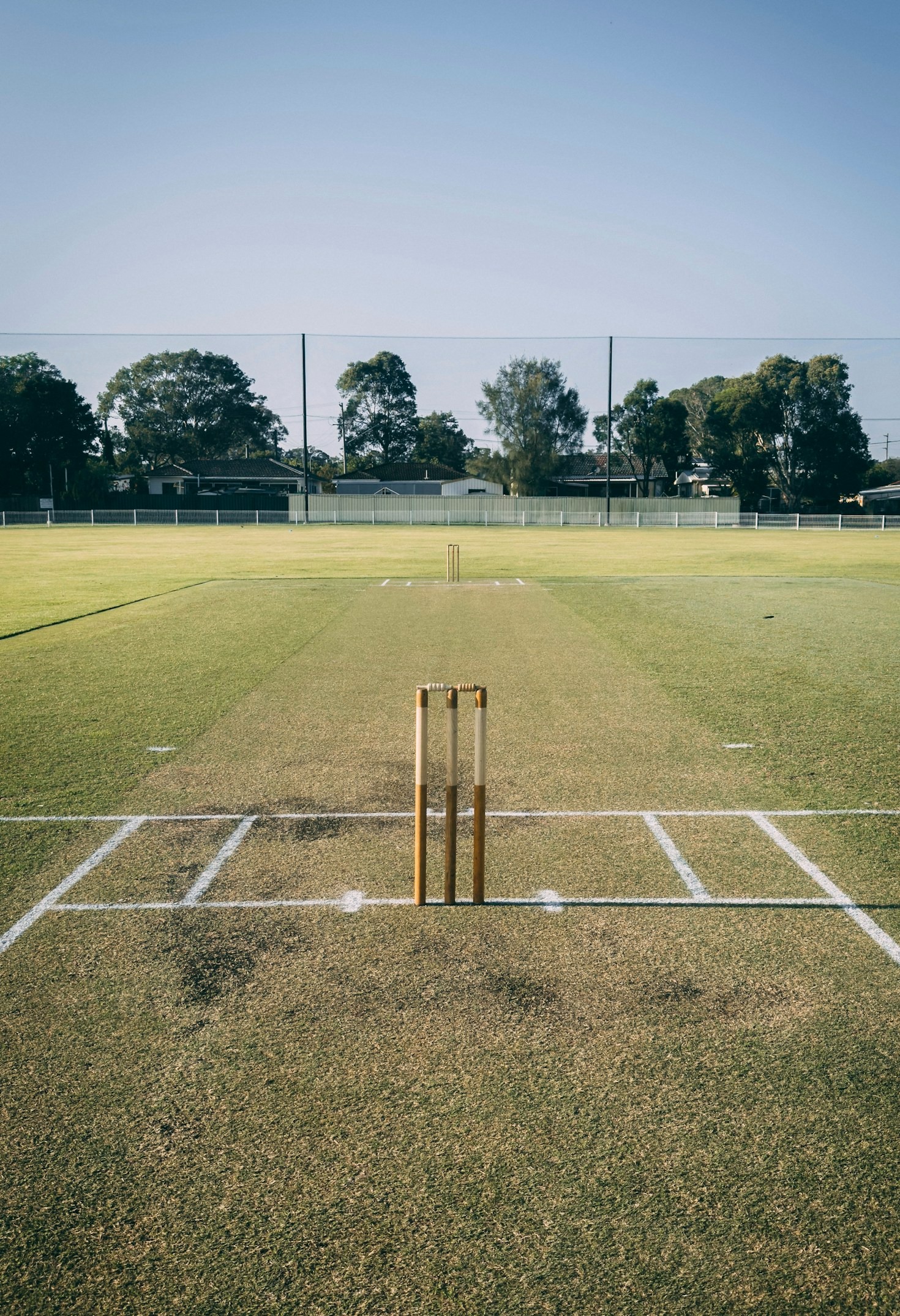 A Beginner’s Guide to Cricket Betting